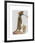 Meerkat Cowboy-Fab Funky-Framed Art Print