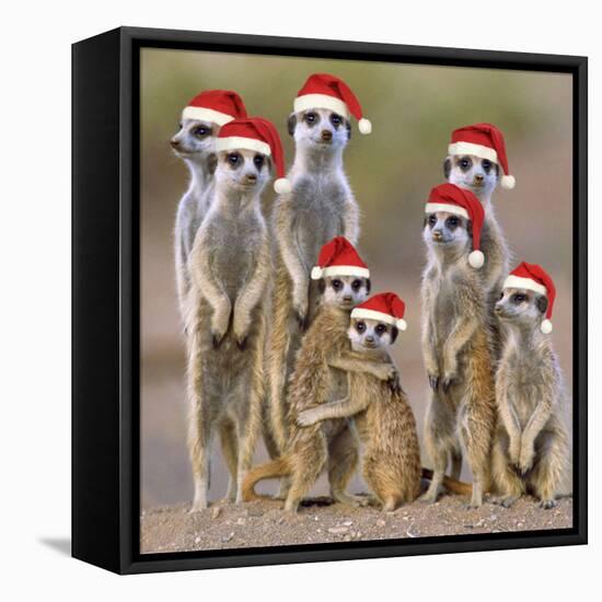 Meerkat Family-null-Framed Stretched Canvas