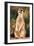 Meerkat Gaze-Howard Ruby-Framed Premium Photographic Print