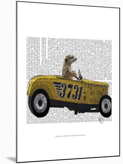 Meerkat in Hot Rod-Fab Funky-Mounted Art Print