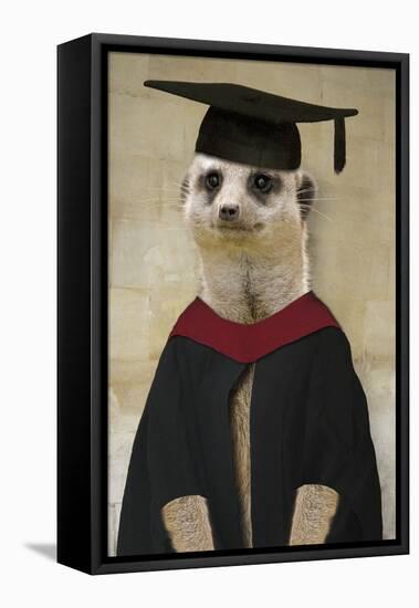 Meerkat in Mortar Board and Gown-null-Framed Stretched Canvas