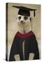 Meerkat in Mortar Board and Gown-null-Stretched Canvas