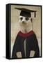 Meerkat in Mortar Board and Gown-null-Framed Stretched Canvas