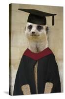 Meerkat in Mortar Board and Gown-null-Stretched Canvas