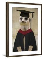 Meerkat in Mortar Board and Gown-null-Framed Photographic Print