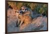 Meerkat Love-Howard Ruby-Framed Photographic Print