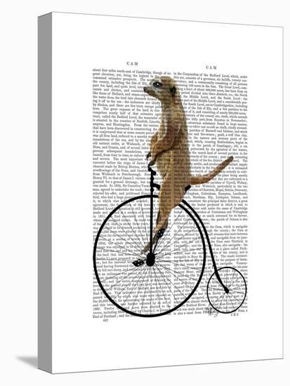 Meerkat on Black Penny Farthing-Fab Funky-Stretched Canvas