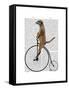 Meerkat on Black Penny Farthing-Fab Funky-Framed Stretched Canvas