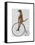 Meerkat on Black Penny Farthing-Fab Funky-Framed Stretched Canvas