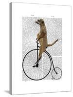 Meerkat on Black Penny Farthing-Fab Funky-Stretched Canvas