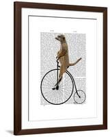 Meerkat on Black Penny Farthing-Fab Funky-Framed Art Print