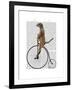 Meerkat on Black Penny Farthing-Fab Funky-Framed Art Print