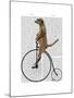 Meerkat on Black Penny Farthing-Fab Funky-Mounted Art Print