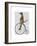 Meerkat on Black Penny Farthing-Fab Funky-Framed Art Print