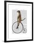 Meerkat on Black Penny Farthing-Fab Funky-Framed Art Print