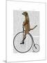 Meerkat on Black Penny Farthing-Fab Funky-Mounted Art Print