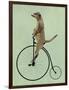 Meerkat on Black Penny Farthing-Fab Funky-Framed Premium Giclee Print