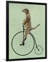 Meerkat on Black Penny Farthing-Fab Funky-Framed Premium Giclee Print