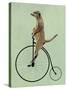 Meerkat on Black Penny Farthing-Fab Funky-Stretched Canvas