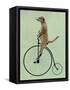 Meerkat on Black Penny Farthing-Fab Funky-Framed Stretched Canvas