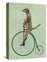 Meerkat on Black Penny Farthing-Fab Funky-Stretched Canvas