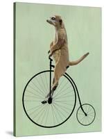 Meerkat on Black Penny Farthing-Fab Funky-Stretched Canvas