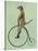 Meerkat on Black Penny Farthing-Fab Funky-Stretched Canvas