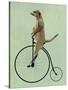 Meerkat on Black Penny Farthing-Fab Funky-Stretched Canvas