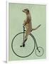 Meerkat on Black Penny Farthing-Fab Funky-Framed Art Print