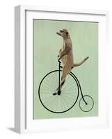 Meerkat on Black Penny Farthing-Fab Funky-Framed Art Print