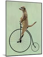 Meerkat on Black Penny Farthing-Fab Funky-Mounted Art Print