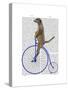 Meerkat on Blue Penny Farthing-Fab Funky-Stretched Canvas