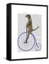 Meerkat on Blue Penny Farthing-Fab Funky-Framed Stretched Canvas