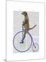 Meerkat on Blue Penny Farthing-Fab Funky-Mounted Art Print