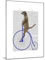 Meerkat on Blue Penny Farthing-Fab Funky-Mounted Art Print