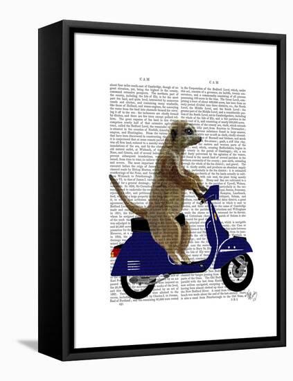 Meerkat on Dark Blue Moped-Fab Funky-Framed Stretched Canvas