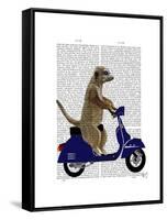 Meerkat on Dark Blue Moped-Fab Funky-Framed Stretched Canvas