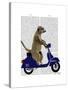 Meerkat on Dark Blue Moped-Fab Funky-Stretched Canvas