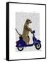 Meerkat on Dark Blue Moped-Fab Funky-Framed Stretched Canvas