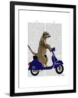 Meerkat on Dark Blue Moped-Fab Funky-Framed Art Print