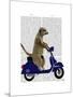 Meerkat on Dark Blue Moped-Fab Funky-Mounted Art Print