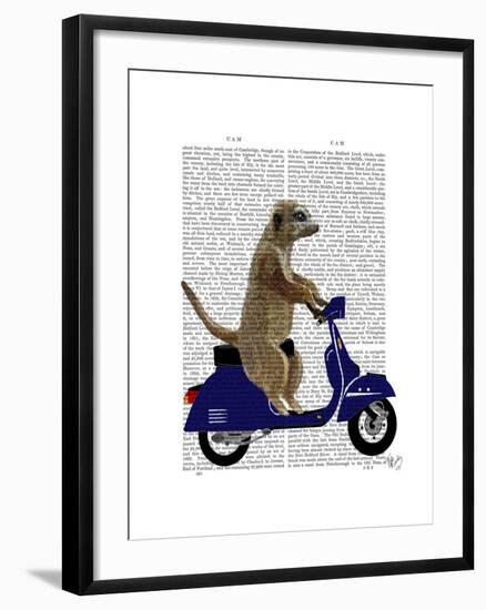 Meerkat on Dark Blue Moped-Fab Funky-Framed Art Print