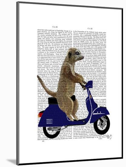 Meerkat on Dark Blue Moped-Fab Funky-Mounted Art Print
