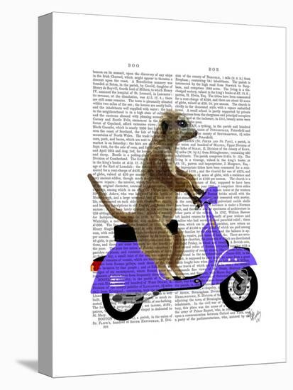 Meerkat on Lilac Moped-Fab Funky-Stretched Canvas
