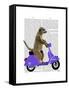 Meerkat on Lilac Moped-Fab Funky-Framed Stretched Canvas