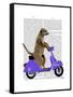 Meerkat on Lilac Moped-Fab Funky-Framed Stretched Canvas