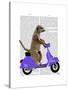 Meerkat on Lilac Moped-Fab Funky-Stretched Canvas