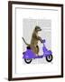 Meerkat on Lilac Moped-Fab Funky-Framed Art Print