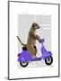 Meerkat on Lilac Moped-Fab Funky-Mounted Art Print