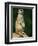 Meerkat on Look-Out, Marwell Zoo, Hampshire, England, United Kingdom, Europe-Ian Griffiths-Framed Premium Photographic Print